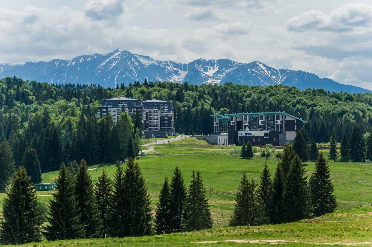 Timber View Apartment Silver Mountain Poiana Brasov Exteriör bild